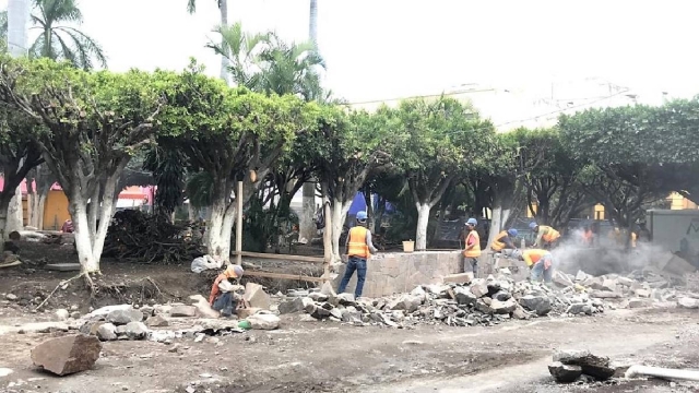 Ambientalistas denunciaron presunta tala inmoderada durante los trabajos que se realizan en el zócalo de Cuautla.