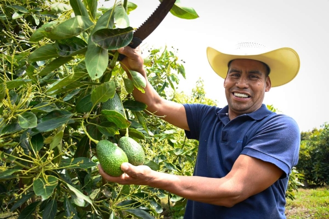 Continúa gobierno estatal otorgando apoyos a productores rurales 