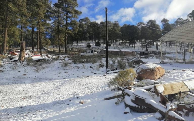 Frente frío 7 provocará ‘heladas’ de hasta -5 grados en estos estados