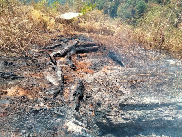 Atendidos cinco incendios forestales este fin de semana, en Cuernavaca, Tepoztlán y Tlalnepantla