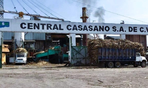 Mañana iniciará liquidación de caña de la zafra 2024-2025 en Casasano