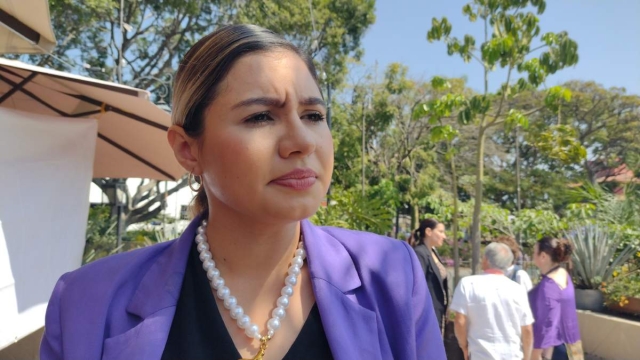 Mirsa Su&aacute;rez se&ntilde;al&oacute; que con la reforma se pretende consolidar el mandato popular como eje central de la vida p&uacute;blica de M&eacute;xico.