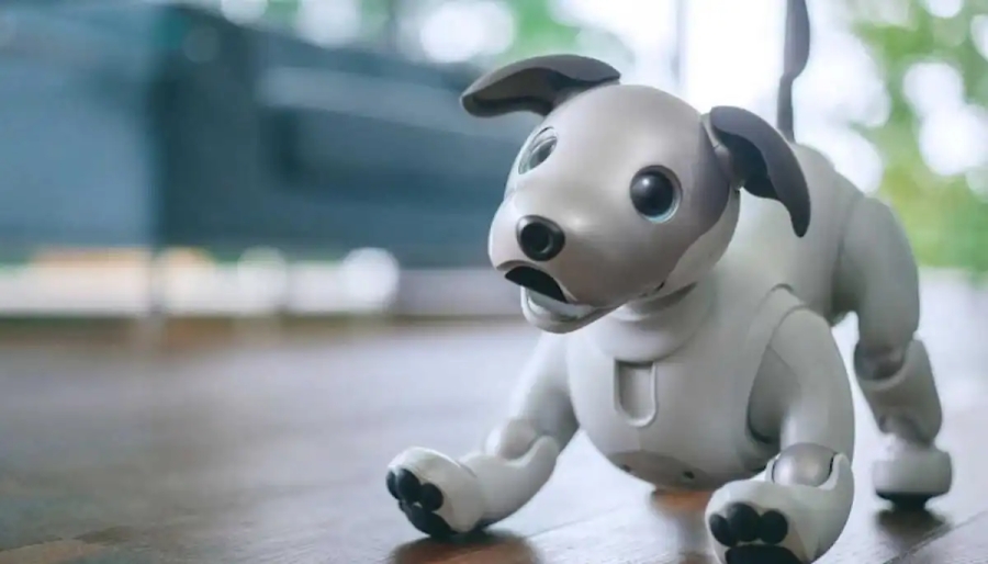 Mascotas del futuro: 'Aibo' propone adopción de perros robot