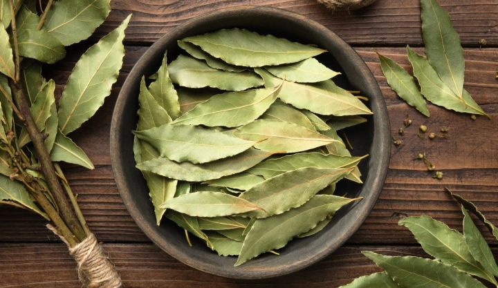 Glamour M&eacute;xico