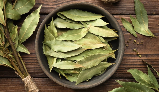 Glamour M&eacute;xico