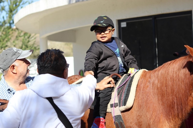 DIF Jiutepec ofrece sesiones de equinoterapia para niñas, niños y jóvenes