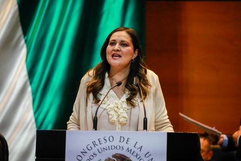 Senadora de Morena propone retirar residencia a extranjeros por actos discriminatorios