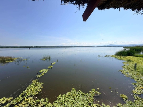  Palaperos de Coatetelco prev&eacute;n repunte de hasta el 100% en ventas