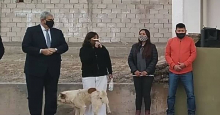 Perrito orina a alcaldesa durante acto público.