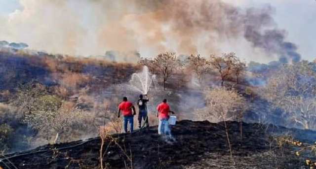 Llamaron a la población a no intervenir de manera directa contra el fuego.