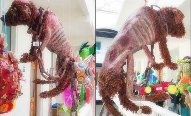 Crean piñata para &#039;dar voz&#039; al maltrato animal y genera debate en TikTok