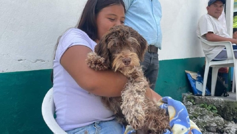 La poblaci&oacute;n podr&aacute; esterilizar a sus mascotas de manera gratuita en una campa&ntilde;a de diez d&iacute;as en diferentes colonias de Zacatepec.