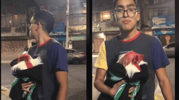 Joven sale de casa con su gallo envuelto en cobija tras sismo