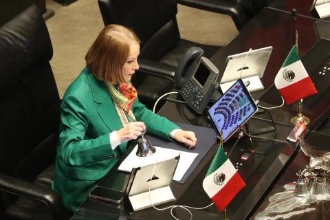 Laura Itzel Castillo, presidenta del Senado.