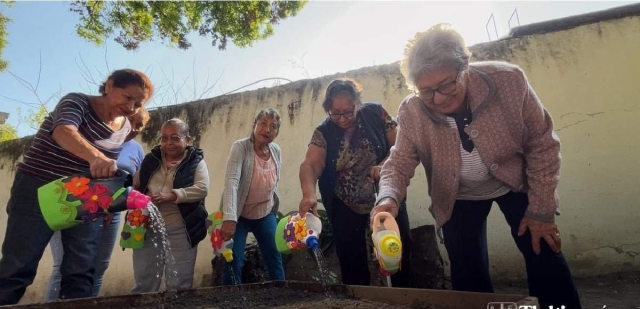   Los adultos mayores podr&aacute;n hacer sus propios huertos en casa con la asesor&iacute;a recibida.