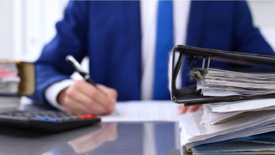 Burócratas profesionales