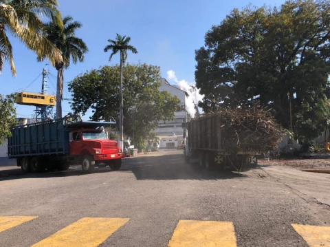 Dadas las condiciones, la zafra 2024-2025 en el IEZ terminaría el próximo mes.