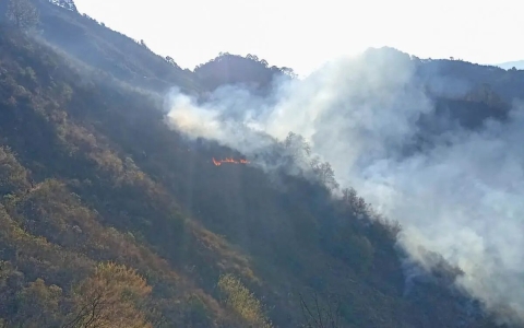 Comuneros piden apoyo urgente ante incendios forestales en Oaxaca