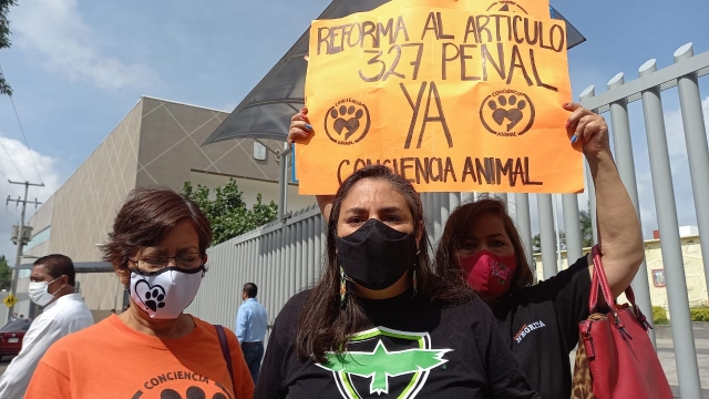 Critican animalistas a diputados que no han sesionado desde hace más de un mes