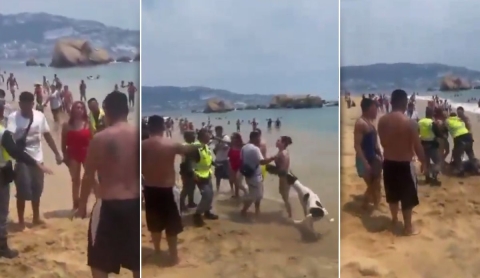 ¡Increíble! Turistas se pelean en playa y hasta el perro se involucra