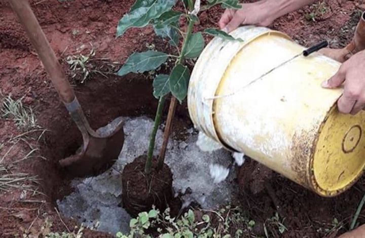 Lluvia Sólida, el invento mexicano que combate la sequía