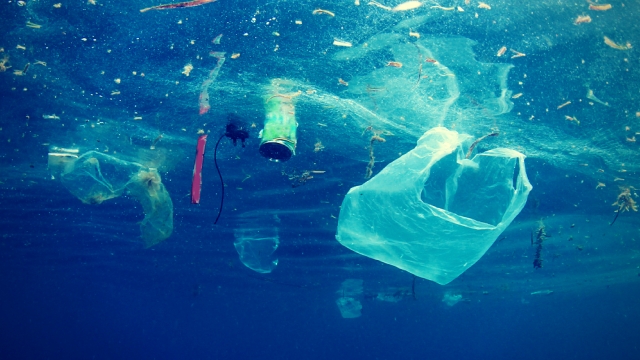 Crean sistema de IA para identificar plásticos en océanos