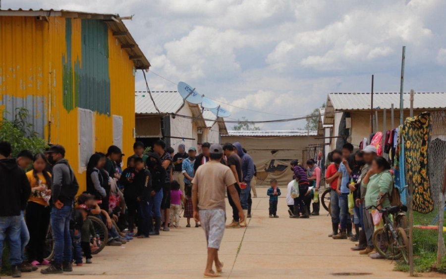 Rescatan a 700 víctimas de explotación laboral en rancho de Guanajuato