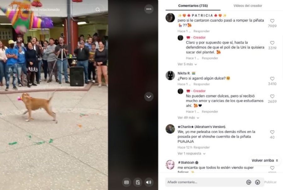 Perrita se roba el show al romper una piñata: su video arrasa en TikTok