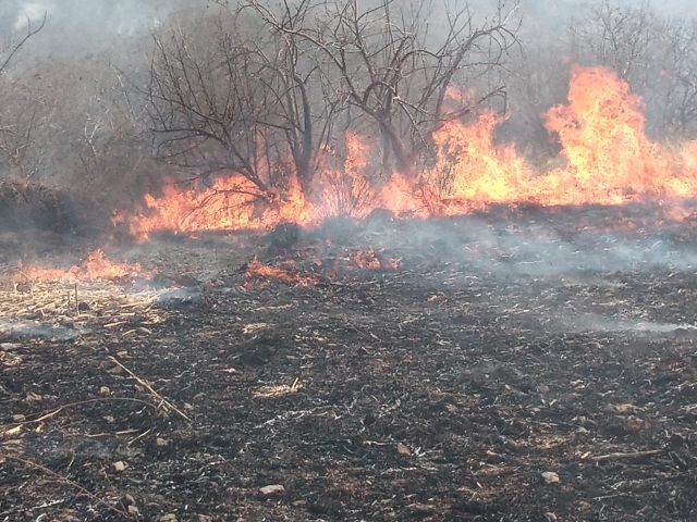 Emite CEPCM recomendaciones ante densa nube de humo derivada de incendios forestales