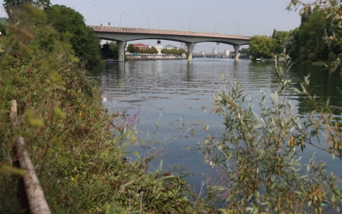 Encuentran nuevo cad&aacute;ver en r&iacute;o Sena a las afueras de Par&iacute;s