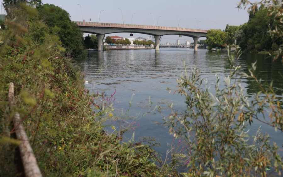 Encuentran nuevo cadáver en río Sena a las afueras de París