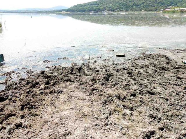 Los pescadores piden el rescate del lugar. En algunos puntos ya hay malos olores.