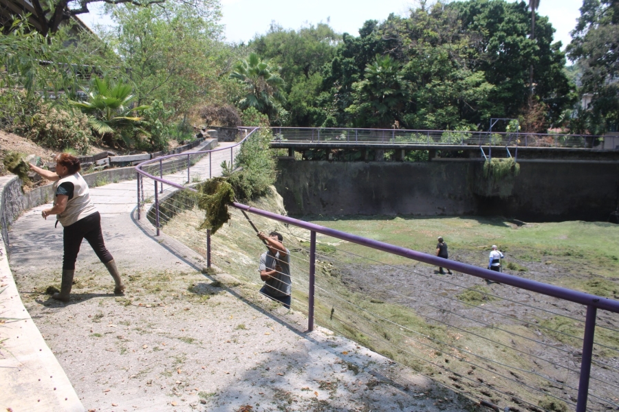Inicia mantenimiento y limpieza del lago del parque Barranca Chapultepec de Cuernavaca