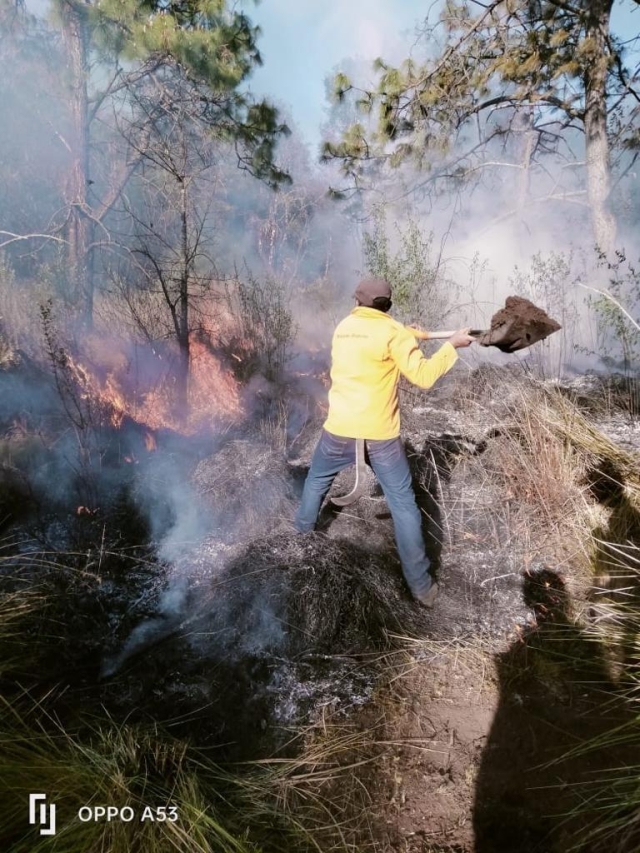 Controlados y liquidados en su totalidad dos incendios, en Tlalnepantla y Huitzilac: Mando Unificado