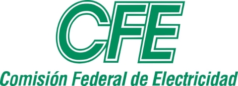 CFE: red de corrupci&oacute;n