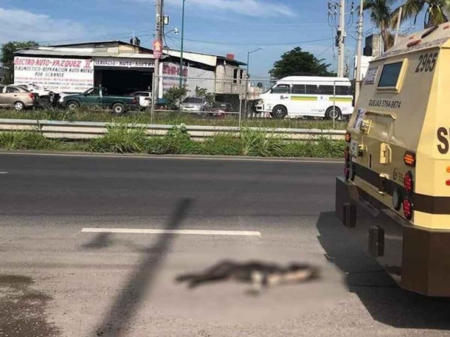 Captan a camioneta de valores arrastrando a un perrito en Cuautla