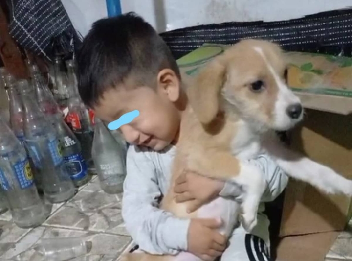 Niño rescata a perrito de la calle.