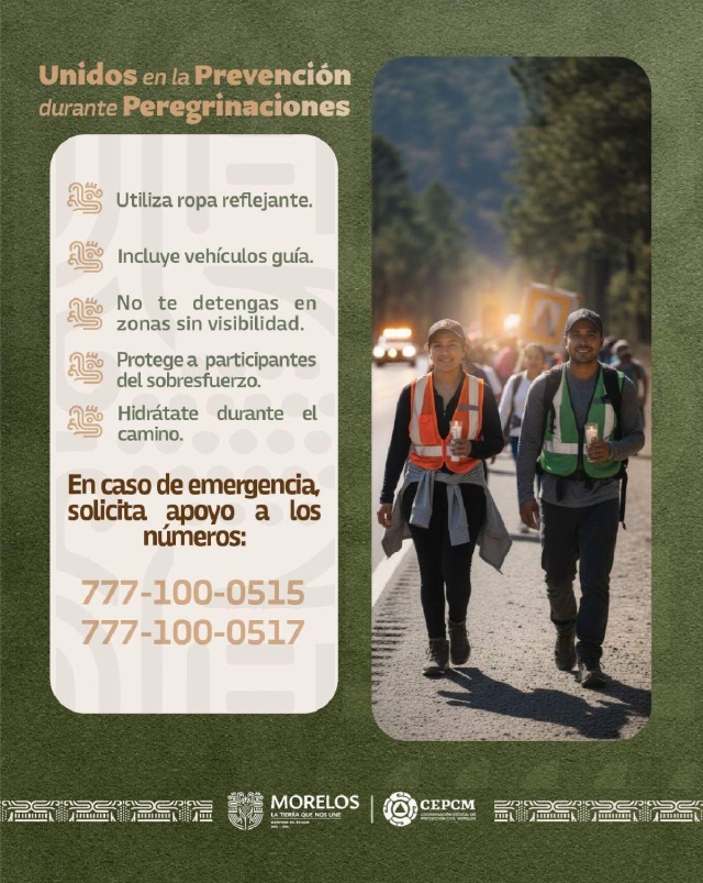 Saldo blanco en peregrinaciones guadalupanas