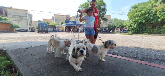 Dos mil 110 esterilizaciones de perros y de gatos en el año 2023 en Jiutepec