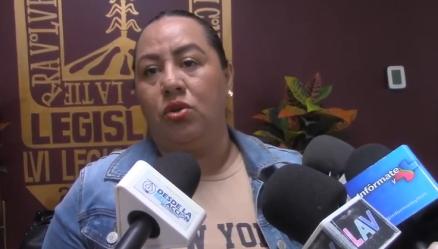 Reconoce diputada Jazmín Solano necesidad de una reingeniería institucional