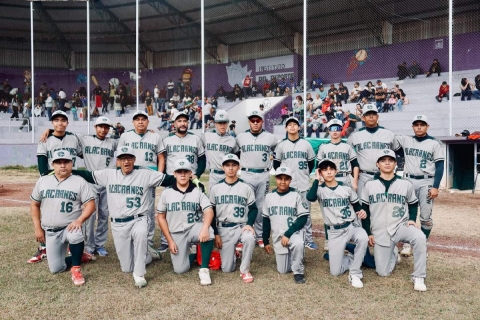 La serie que se disputará entre Alacranes y Llaneros promete ser muy emocionante.