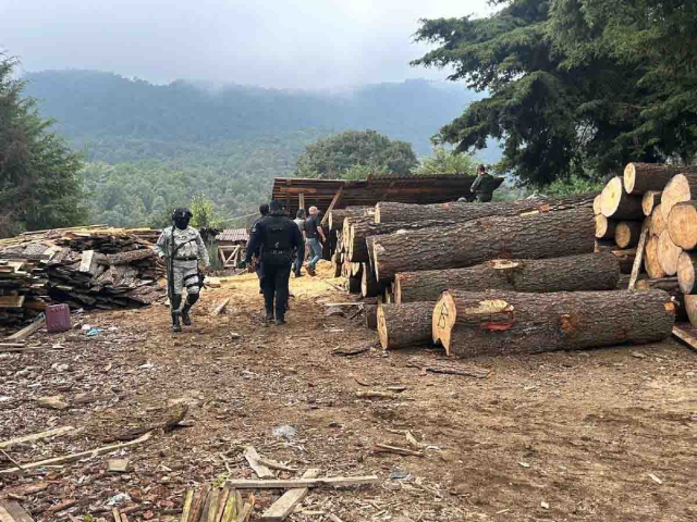 Continúan los operativos federales contra la tala clandestina en el municipio de Huitzilac.