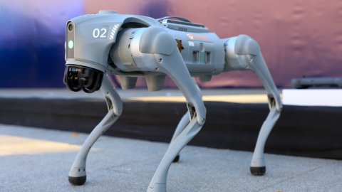'Perros robot' apoyar&aacute;n a polic&iacute;as mexicanos durante el Mundial 2026