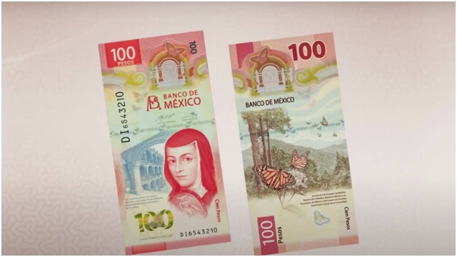 El billete resalta por su diseño en vertical en el que aparece Sor Juana Inés de la Cruz.