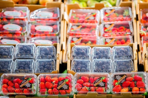 Empresarios buscan diversificar mercados