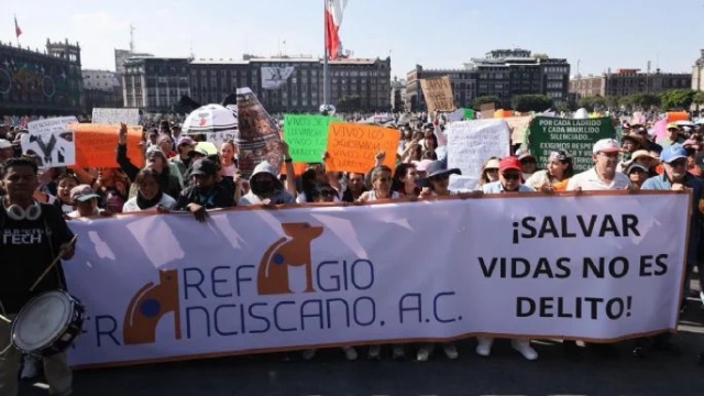 Jueza ordena devolver inmueble del Refugio Franciscano en Cuajimalpa