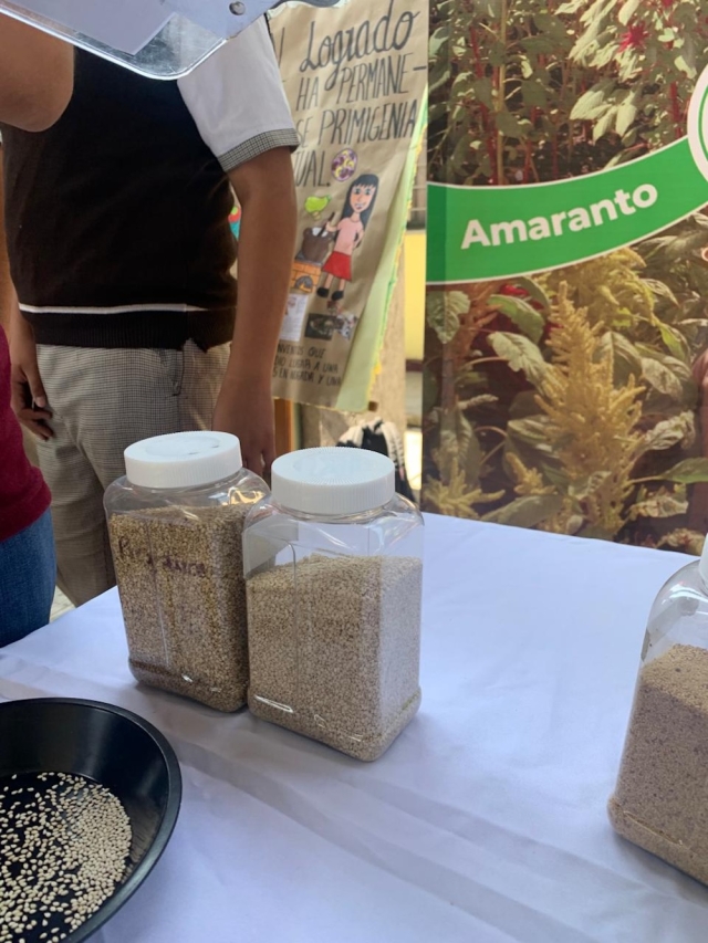 Aunque las biotecnologías para lograr la sustentabilidad están al alcance, no hay cultura para su implementación, ni programas federales para su aplicación. 