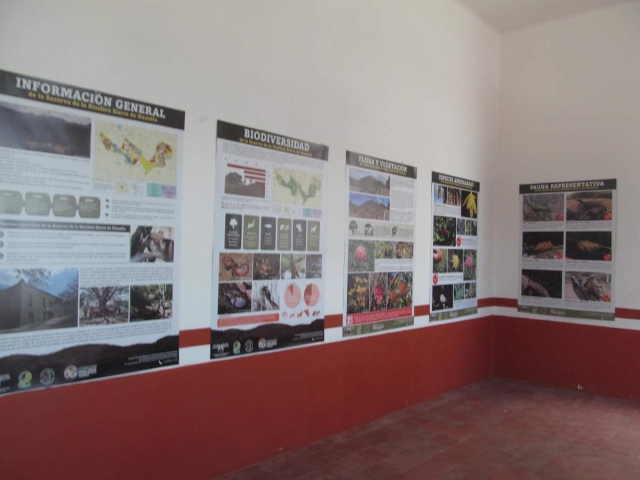 La vieja presidencia municipal de Tlaquiltenango –recientemente fue utilizada para una exposición– será sede de las oficinas del gobierno estatal.