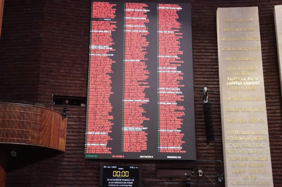 Con el voto unánime de 456 diputados, la Cámara Baja aprobó el dictamen en lo general.