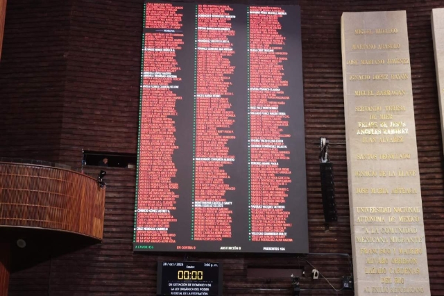Con el voto unánime de 456 diputados, la Cámara Baja aprobó el dictamen en lo general.
